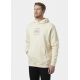 10. Helly Hansen Core Graphic Sweat Hoodie M 53924 034