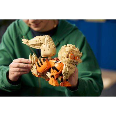 24. LEGO Pokémon 72160 - Arcanine