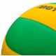 5. Volleyball Meteor Chilli 10087