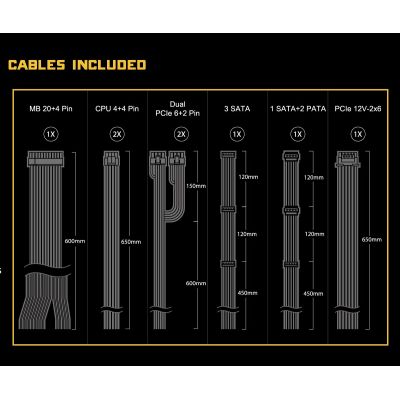 17. ASRock CHALLENGER 850W 80 Plus Gold Power Supply