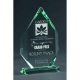 8. Engraved glass trophy with case