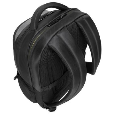 8. Targus Citygear 43.9 cm (17.3") Backpack Black