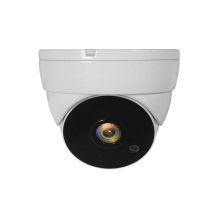 LevelOne ACS-5302 Dome CCTV Security Camera Indoor/Outdoor Ceiling