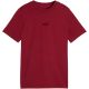 Puma ESS Small No. 1 Logo Centered Tee for Kids Brown 692975 23