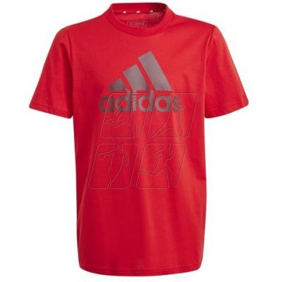 T-shirt adidas Big Logo Tee Jr IJ6262