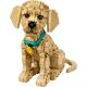 3. LEGO 11384 Icons - Golden Retriever Puppy
