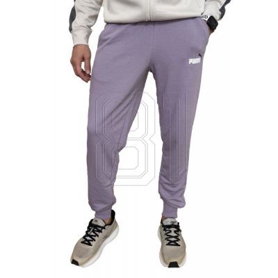6. Puma Ess+ 2 Col Pants M 586768 29