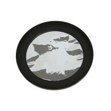 SW solar filter (180mm Maksutov-Cassegrain)