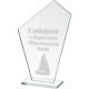 9. Engraved glass trophy