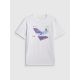 6. Men's T-shirt 4F 4FRSS26TTSHM3661-10S