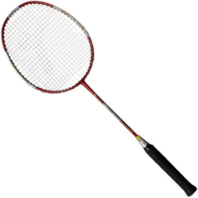 Techman Graphite 5006 T5006 Racket