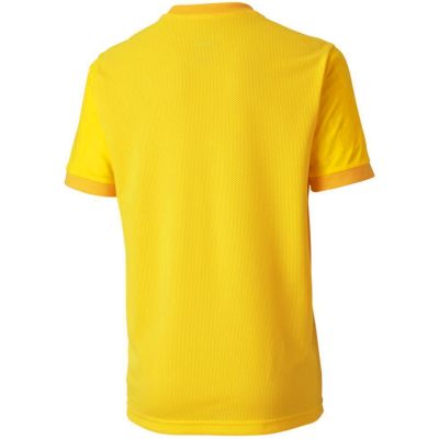 5. Puma teamGOAL 23 Jersey Jr 704160 07