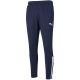 3. Puma teamLiga Training Pants M 657242 06