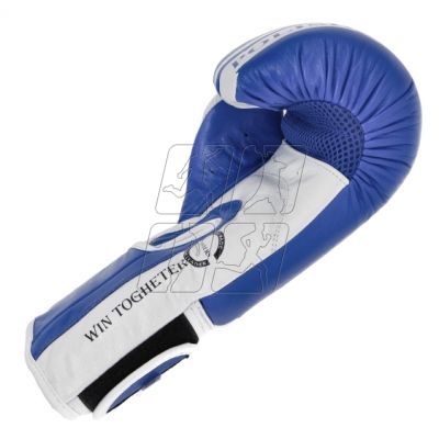 27. Boxing gloves Masters Rbt-PZKB-W 011101-02W