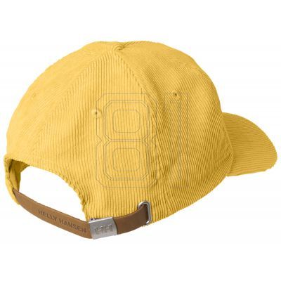 6. Helly Hansen HH Graphic Cap 48146 341