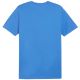 10. Puma Team Goal Casuals Tee M 658615 02