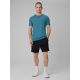 6. Men's quick-drying regular training T-shirt 4F 4FRSS26TFTSM2343-11M