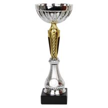W2066 Triumph Cup