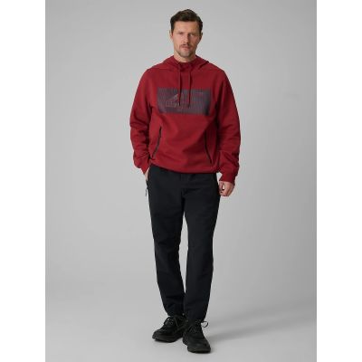 4. Men's regular hooded sweatshirt 4F 4FRSS26TSWSM2975-20S