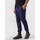 5. Pants 4F M 4FWSS24TTROM646-31S
