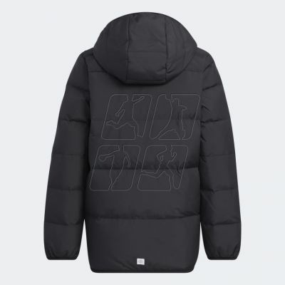 2. Jacket adidas Frosty Jacket Jr. HM5205