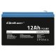 5. Qoltec LiFePO4 Lithium Iron Phosphate Battery 12.8V 12Ah 153.6Wh BMS