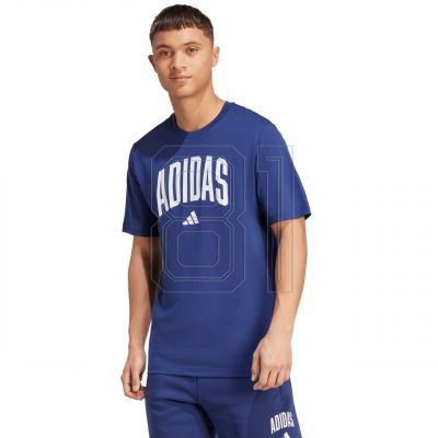 2. adidas Collegiate Lineage Graphic T-shirt M JM6417