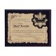 9. Plastic diploma with laminate engraving