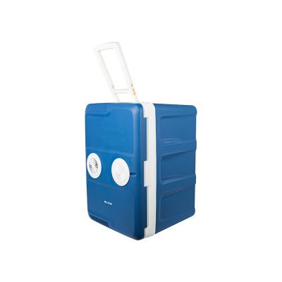 3. BLOW CAR TRAVEL REFRIGERATOR 42L with wheels
