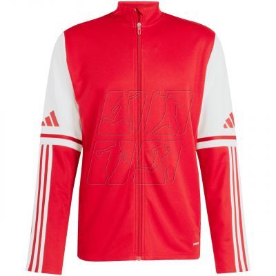 Adidas Squadra 25 Training M sweatshirt JD2979