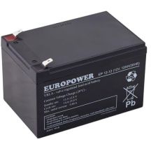 EUROPOWER EP Series AGM Battery 12V 12Ah (Lifespan 6-9 years)