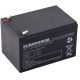 EUROPOWER EP Series AGM Battery 12V 12Ah (Lifespan 6-9 years)