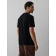 2. Men's regular printed T-shirt 4F 4FKAW26TTSHM4477-20S