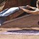 17. Gaiam Cranberry Point 2 MM 63640 yoga mat