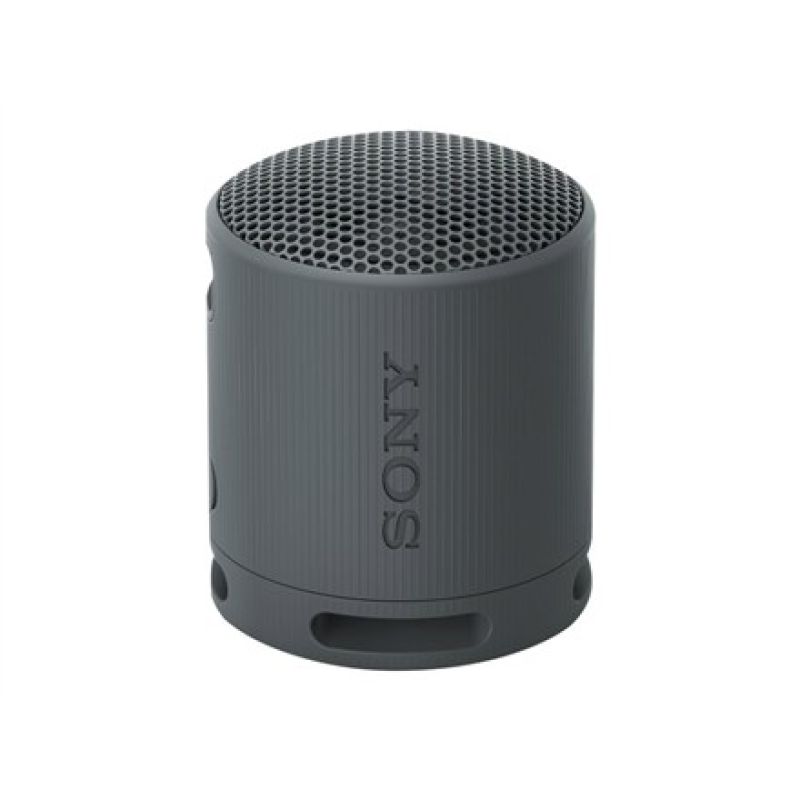 4. Sony SRS-XB100 Portable Mono Speaker Black