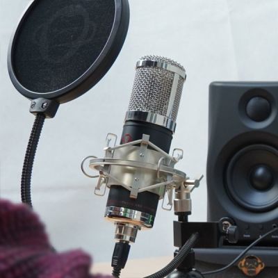8. Monkey Banana Hapa Black Table Microphone