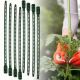 7. PLANT ACCESSORIES GARDEN BAND 8 PCS PROGARDEN
