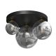 Ceiling lamp CEILING LIGHT BURSA 3XE14/E27 BLACK/GOLD
