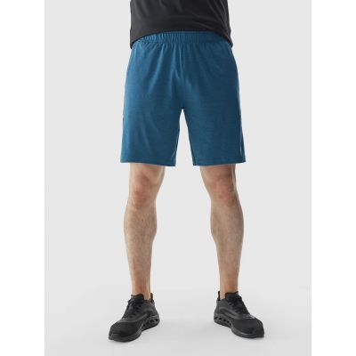 Men's 4F quick-drying regular training shorts 4FWAW24TFSHM698-46M