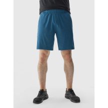 Men's 4F quick-drying regular training shorts 4FWAW24TFSHM698-46M