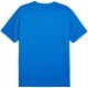 4. Men's Puma TeamGoal Jersey blue 658636 02