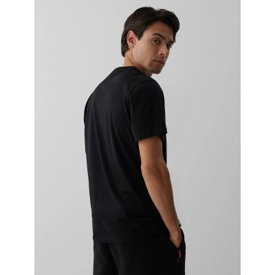 2. Men's regular printed T-shirt 4F 4FRAW26TTSHM4447-20S