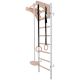 11. WOODEN AND METAL GYMNASTIC WALL BAR WITH WOODEN BAR AND ACCESSORIES BENCHK 211W A204