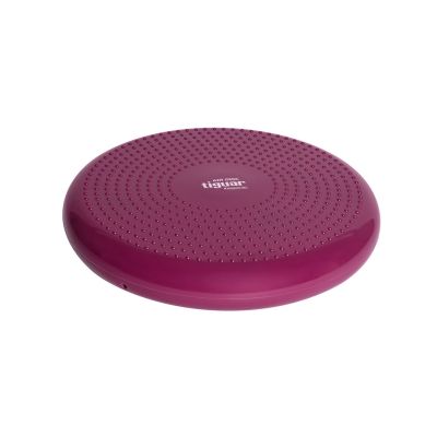 13. Tiguar stabilizing disc (air disc) DR-GT0001