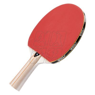 4. Stiga Evolve 1-Star table tennis racket 92800591792