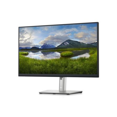 2. DELL LED MONITOR 23.8" P2423DE