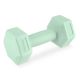 5. Spokey Monster dumbbells 2x 1 kg SPK-944049