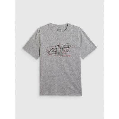5. Men's regular-fit graphic T-shirt 4F 4FRSS26TTSHM3989-10S