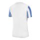 2. Nike Striped Division IV M CW3813-103 football shirt