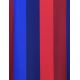 9. FC Barcelona Raphinha Junior Football Kit Shirt and Shorts Box 2026/27 BD19ER